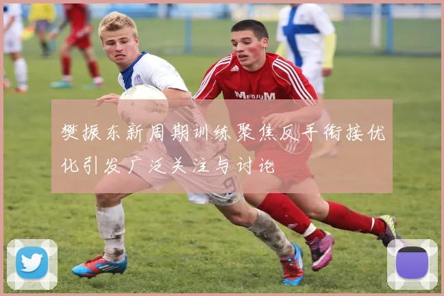 樊振东新周期训练聚焦反手衔接优化引发广泛关注与讨论