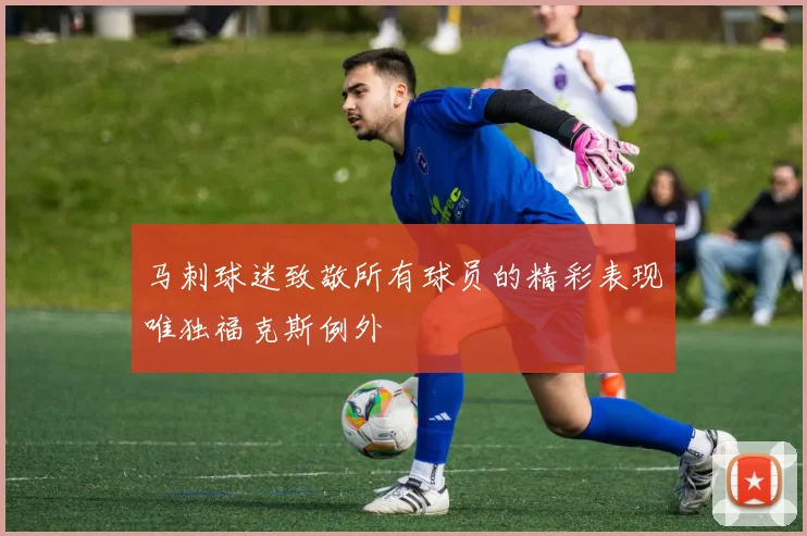马刺球迷致敬所有球员的精彩表现唯独福克斯例外
