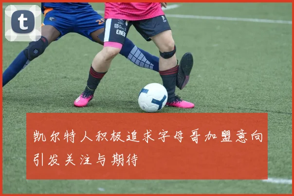 凯尔特人积极追求字母哥加盟意向引发关注与期待