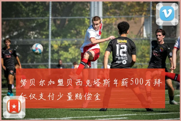 努贝尔加盟贝西克塔斯年薪500万拜仁仅支付少量赔偿金